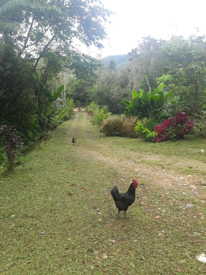 Recanto Dos Lobosco Villa Araquari Kültér fotó
