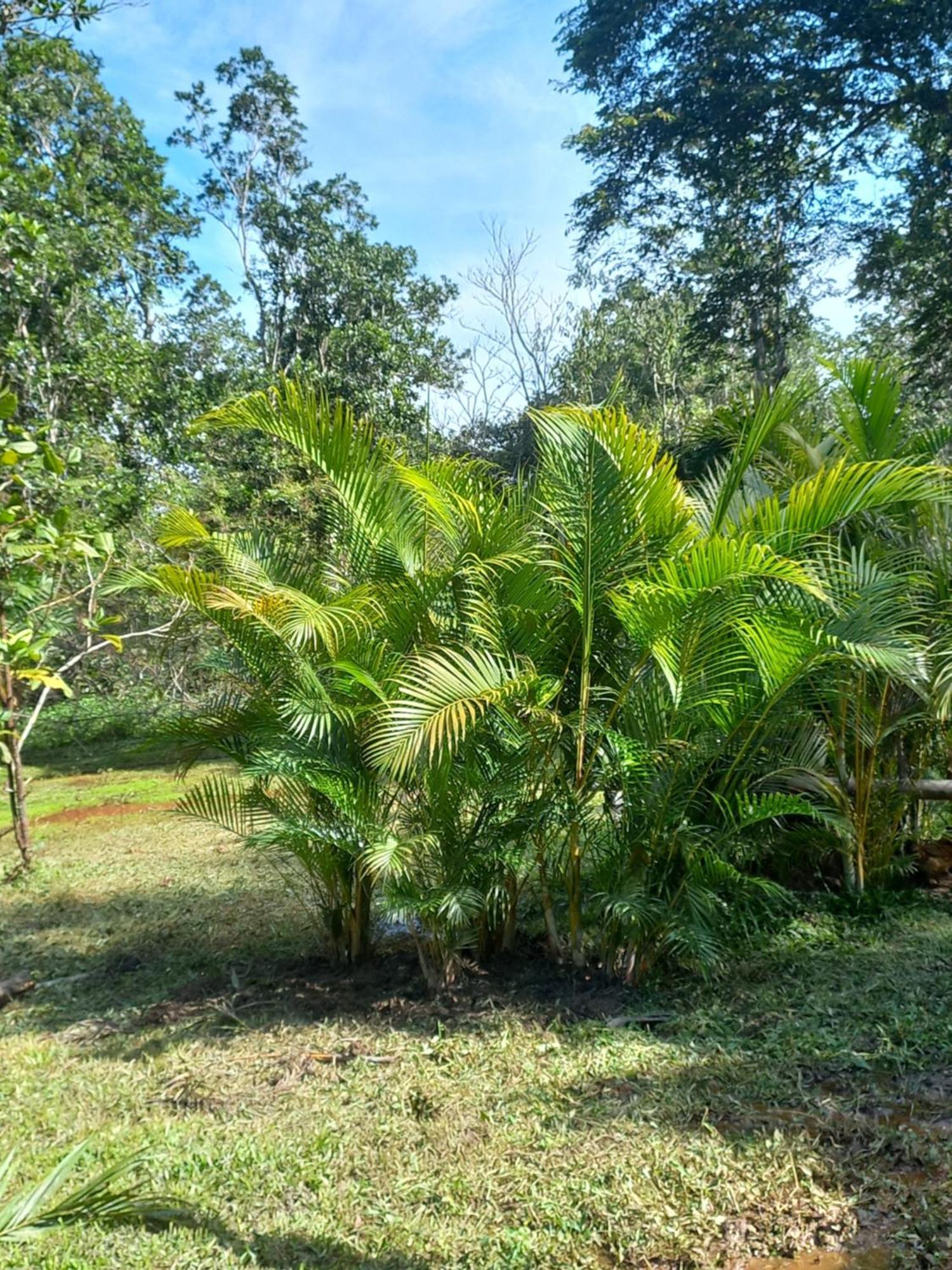 Recanto Dos Lobosco Villa Araquari Kültér fotó